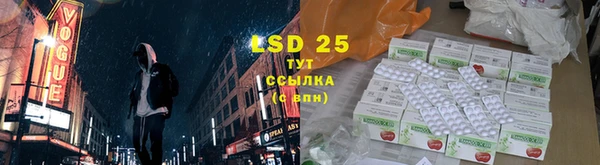 гашик Новозыбков