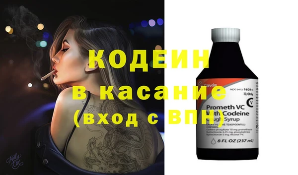 стаф Бородино