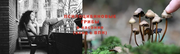 скорость mdpv Богородицк