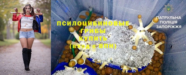 дмт Новодвинск