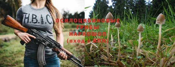 молекула духа Бугульма