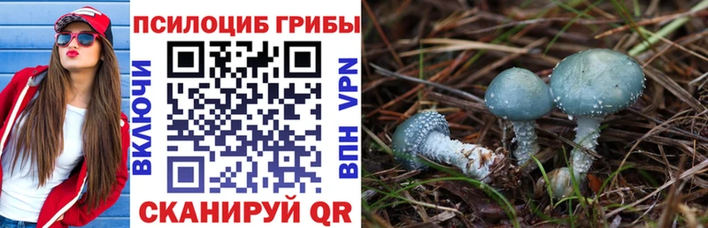 ОМГ ОМГ ССЫЛКА Дмитровск Псилоцибиновые грибы MAGIC MUSHROOMS